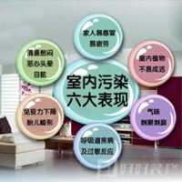 買全實木家具還要甲醛檢測嗎